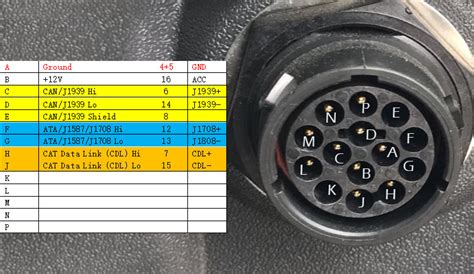 cat 14 pin connector diagram